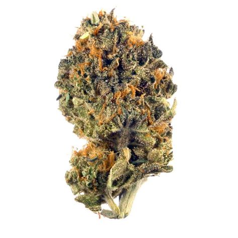 LA Kush Cake Marijuana Strain Information